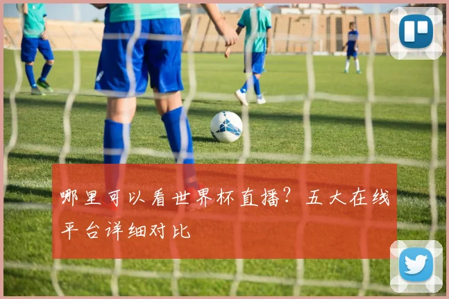 哪里可以看世界杯直播？五大在线平台详细对比