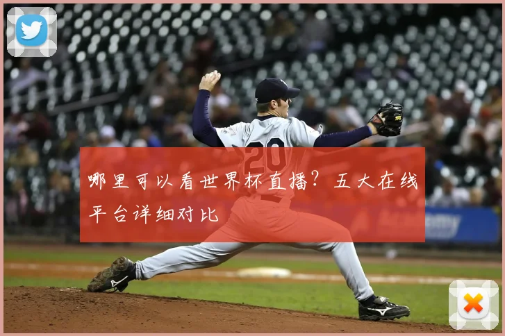 哪里可以看世界杯直播？五大在线平台详细对比