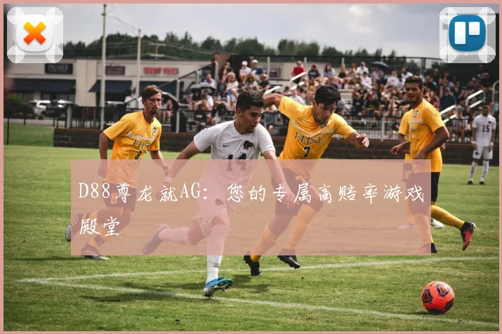 D88尊龙就AG：您的专属高赔率游戏殿堂