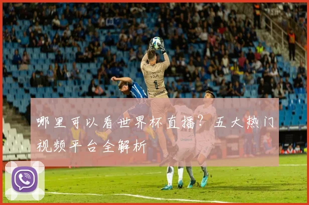 哪里可以看世界杯直播？五大热门视频平台全解析