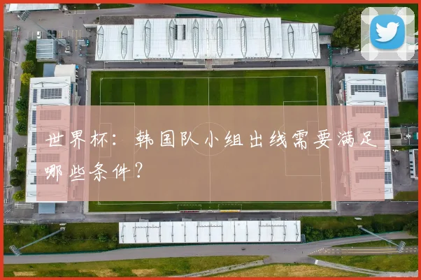 世界杯：韩国队小组出线需要满足哪些条件？