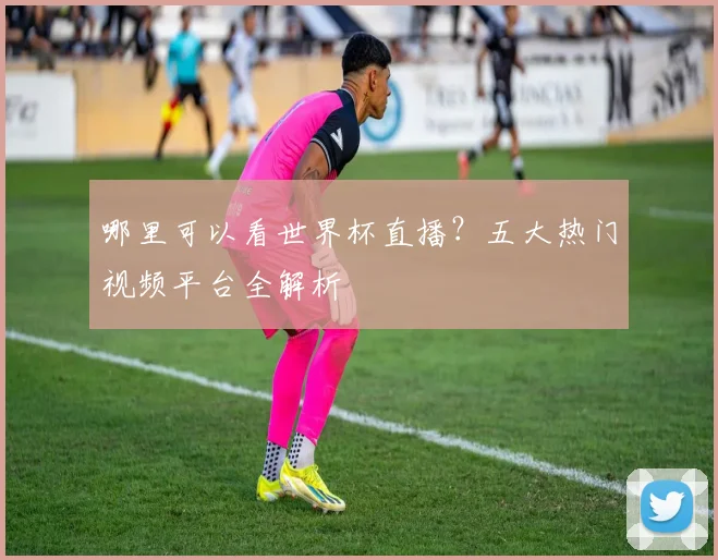 哪里可以看世界杯直播？五大热门视频平台全解析