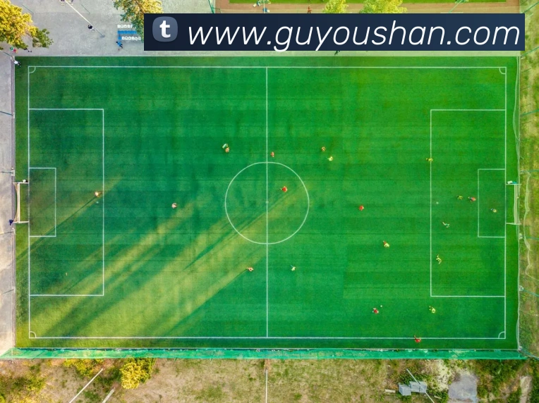 App Interface Preview